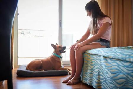 RVHotels Nautic Park - 25