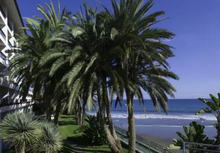 Don Gregory by Dunas - Adults Only - 35