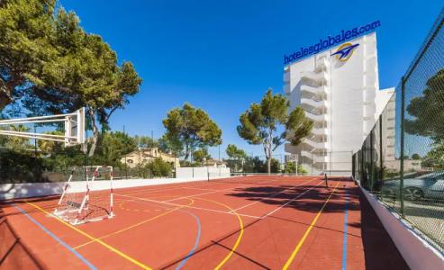 Globales Mimosa - 23