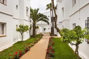 Globales Bouganvilla