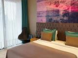 Deluxe Double room with balcony and with garden view