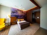 Premium Double room with balcony and with garden view