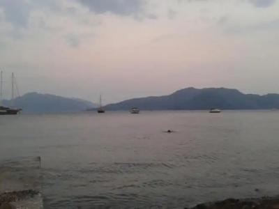 Uysal Motel Beach - 66