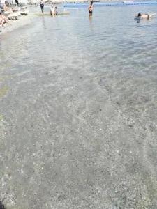 Uysal Motel Beach - 39