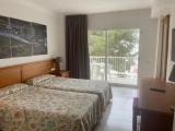 Standard Double room with pool view