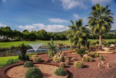 Steigenberger and Resort Camp de Mar - 24