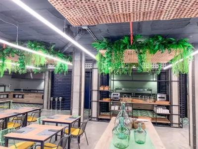 Paradiso Garden - 21