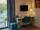 Standard Double room with garden view