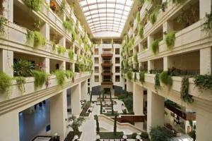 Hotels