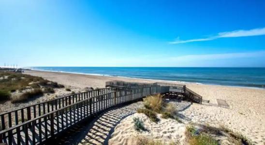 Puerto Antilla Grand - 19