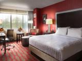 1 Bedroom Double Suite