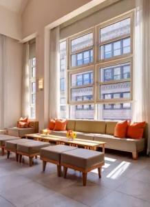 Giraffe by Library Collection - 14