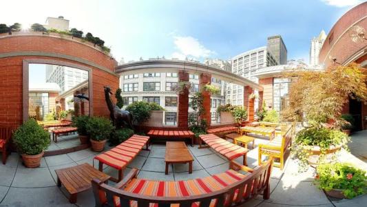 Giraffe by Library Collection - 16