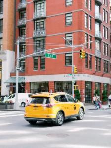 Giraffe by Library Collection - 17