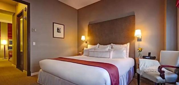 Giraffe by Library Collection - 58