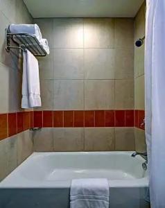 Giraffe by Library Collection - 33