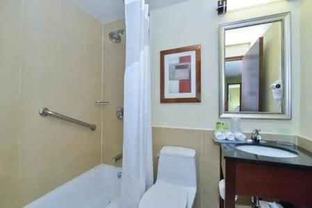 Holiday Inn Express Manhattan Midtown West, an IHG - 8