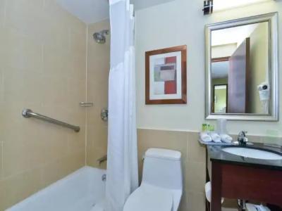 Holiday Inn Express Manhattan Midtown West, an IHG - 33
