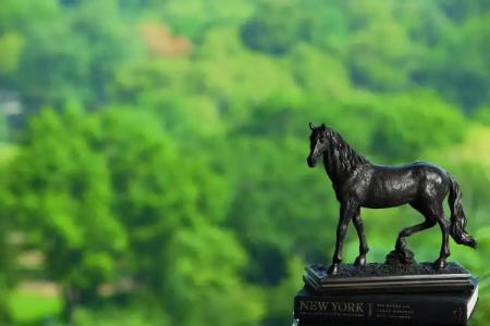 The Ritz-Carlton New York, Central Park - 37