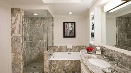 The Ritz-Carlton New York, Central Park - 68