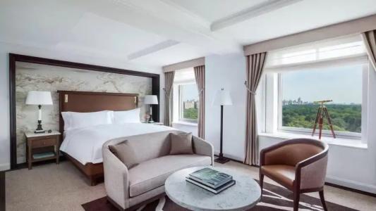 The Ritz-Carlton New York, Central Park - 88