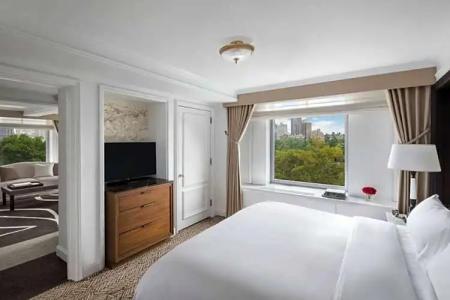 The Ritz-Carlton New York, Central Park - 73