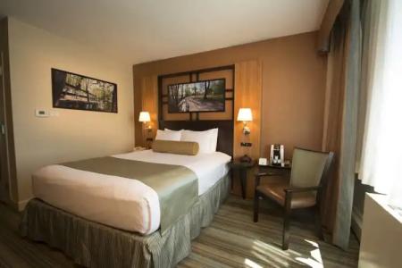 Best Western Queens Gold Coast - 43