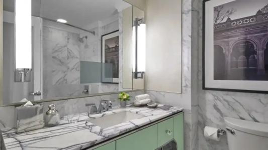 Loews Regency New York - 101