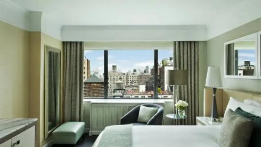 Loews Regency New York - 163