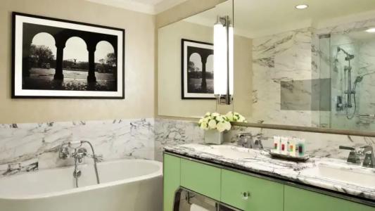 Loews Regency New York - 107