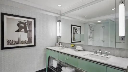 Loews Regency New York - 181