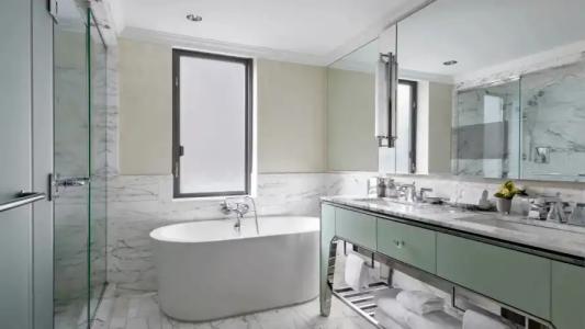 Loews Regency New York - 174