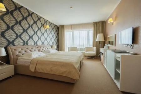 Hôtel Hor Europe - 100