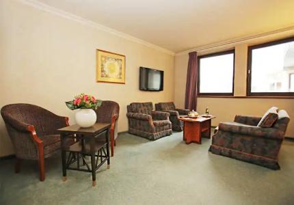 Millennium Paris Charles De Gaulle - 10