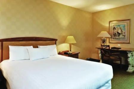 Millennium Paris Charles De Gaulle - 26