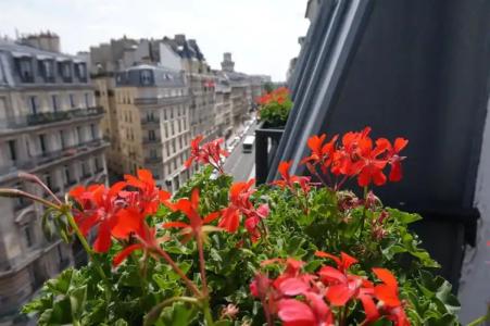 Elysa-Luxembourg - 18