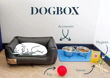 Golden Tulip Paris CDG Airport – Villepinte - 25