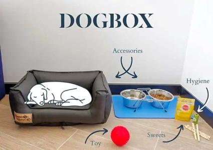 Golden Tulip Paris CDG Airport – Villepinte - 50