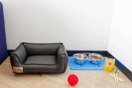 Golden Tulip Paris CDG Airport – Villepinte - 18