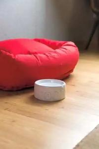 Virgins Chicago - 67