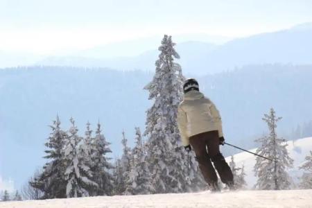 Pension Glöcklehof - 56