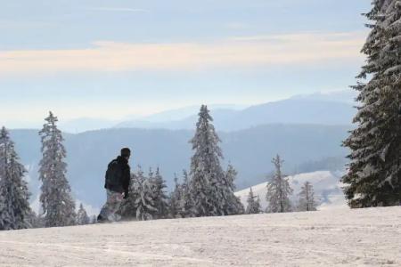 Pension Glöcklehof - 18