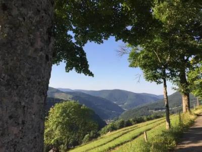 Pension Glöcklehof - 26