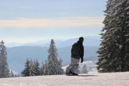 Pension Glöcklehof - 66