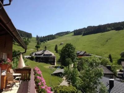 Pension Glöcklehof - 13