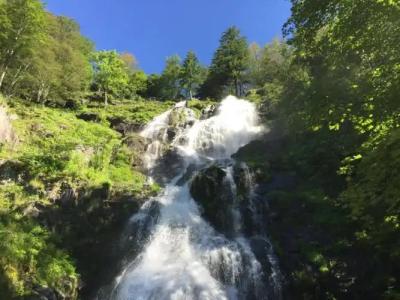 Pension Glöcklehof - 25