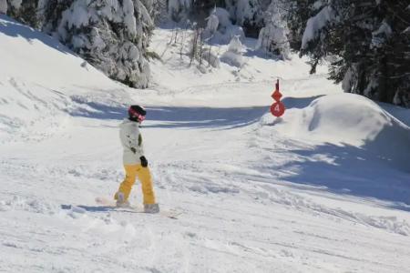 Pension Glöcklehof - 16