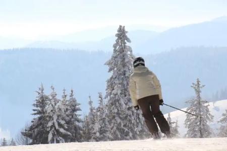 Pension Glöcklehof - 14