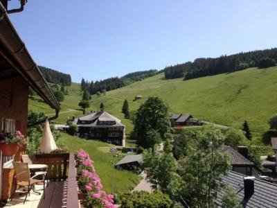 Pension Glöcklehof - 21