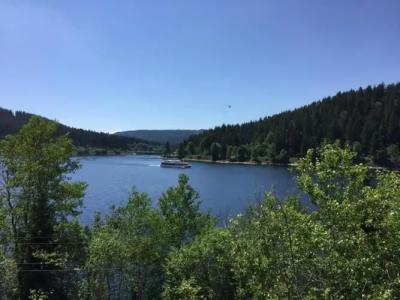 Pension Glöcklehof - 51